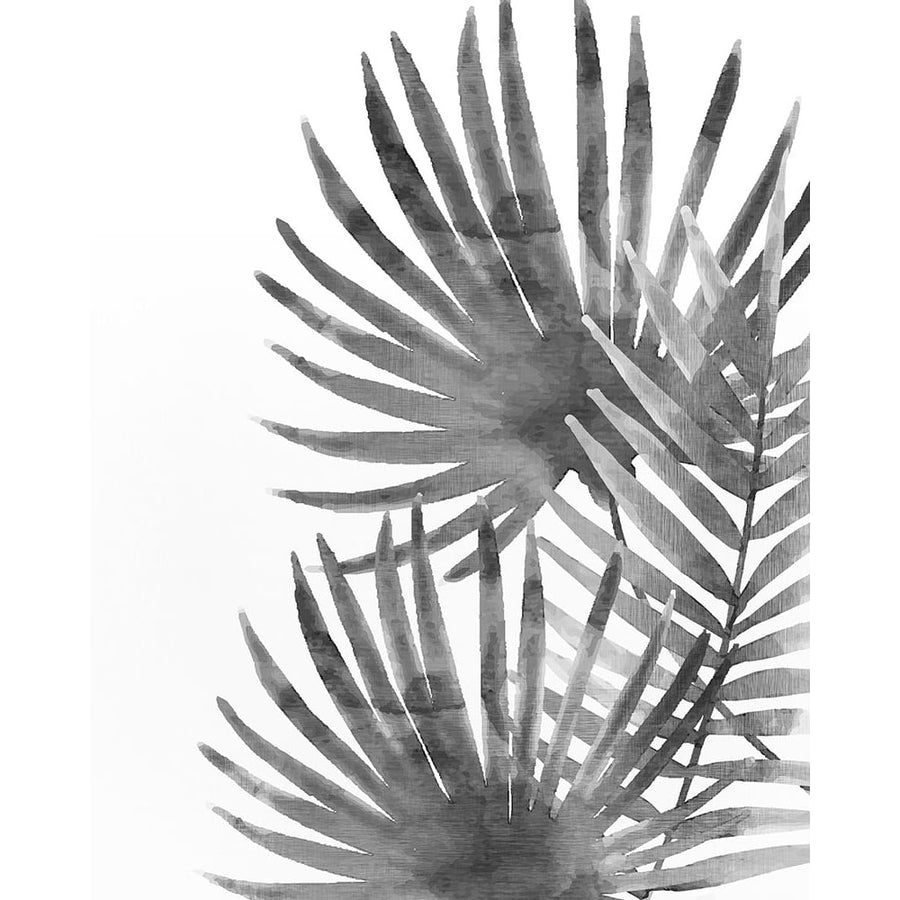 Ferns By Night 2 Poster Print by Allen Kimberly-VARPDXKARC643B Image 1