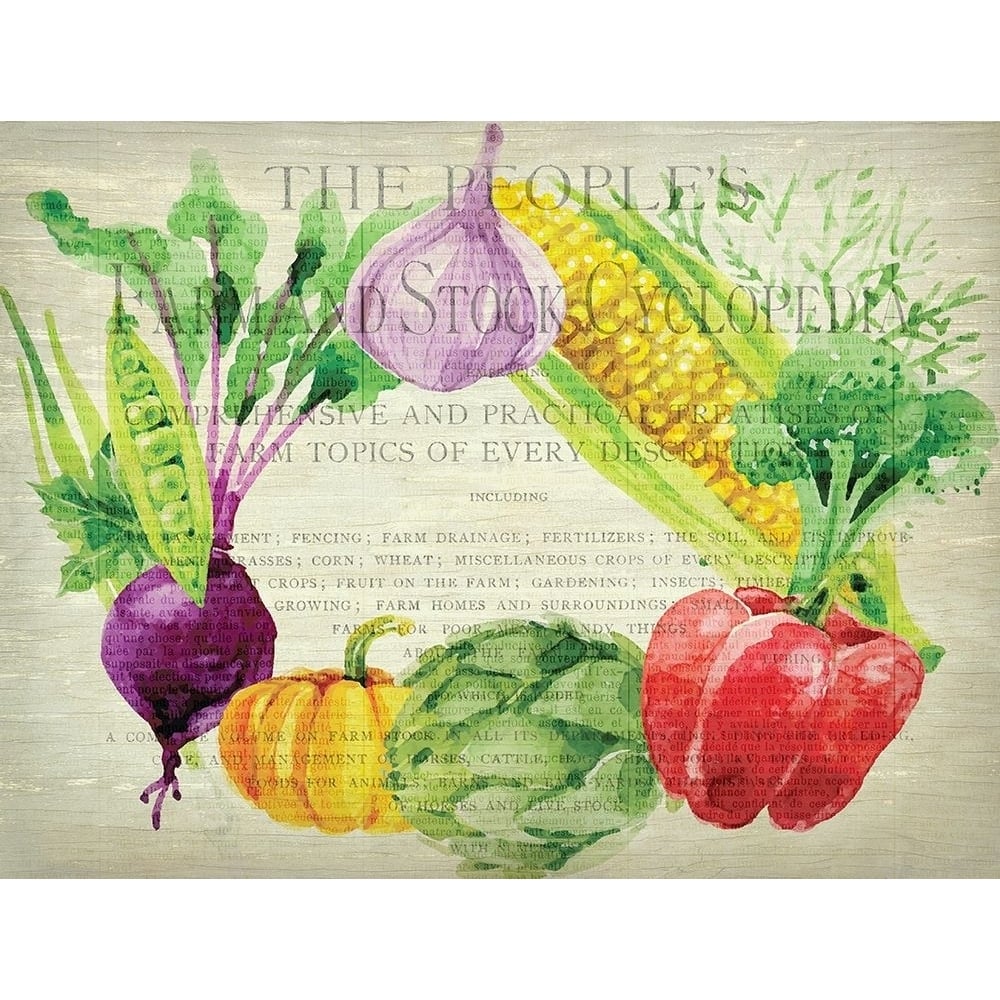 Fresh Veggies 1 Poster Print by Allen Kimberly-VARPDXKARC667A Image 1