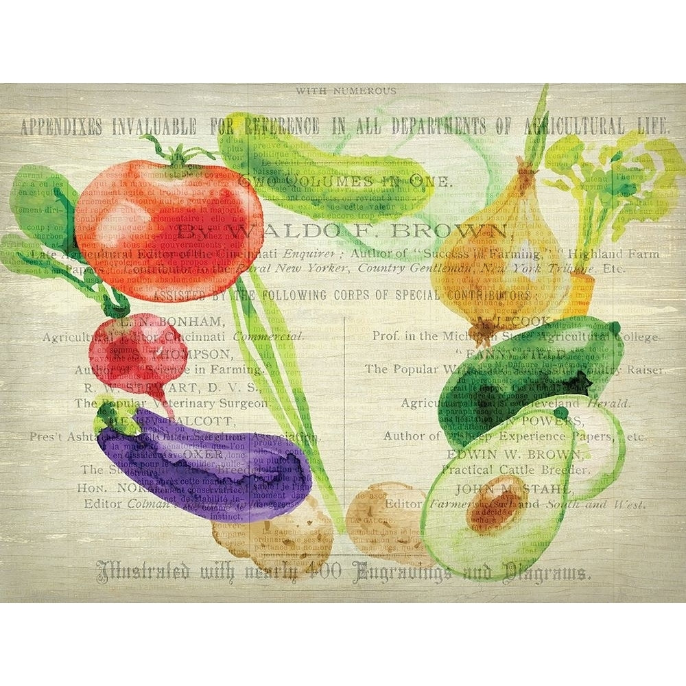 Fresh Veggies 2 Poster Print by Allen Kimberly-VARPDXKARC667B Image 1