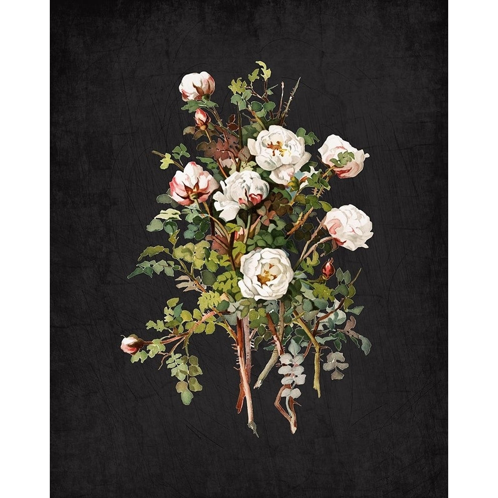 Roses on Black 2 Poster Print by Allen Kimberly-VARPDXKARC822B Image 1