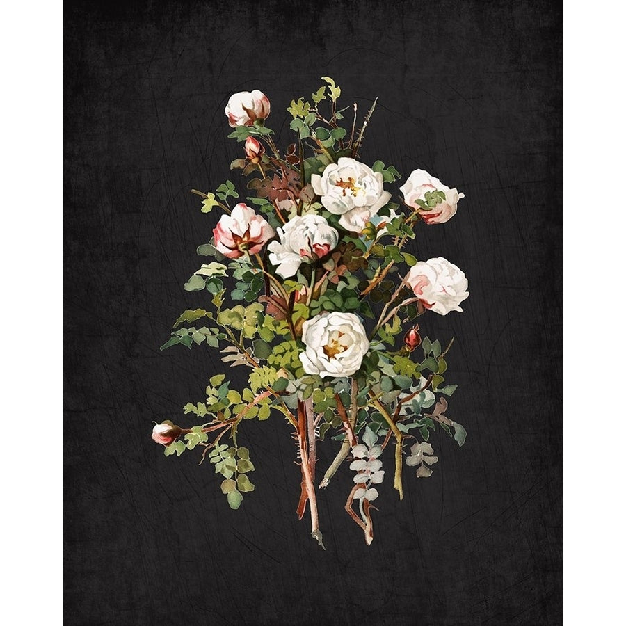 Roses on Black 2 Poster Print by Allen Kimberly-VARPDXKARC822B Image 1