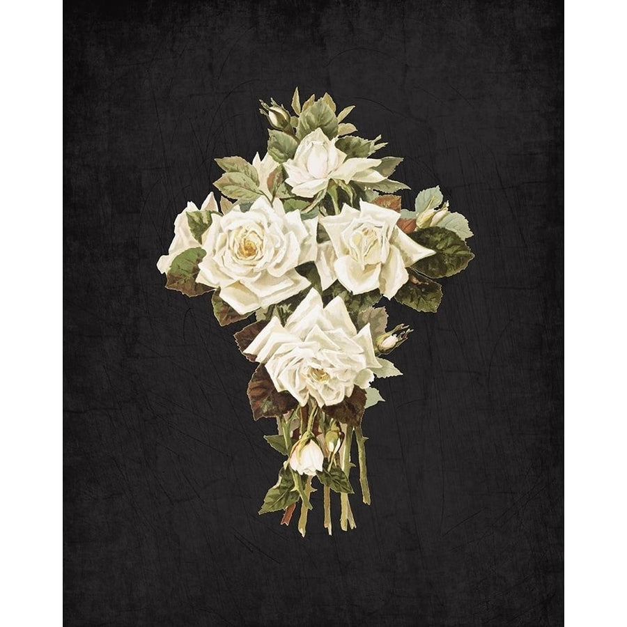 Roses on Black 3 Poster Print by Allen Kimberly-VARPDXKARC822C Image 1