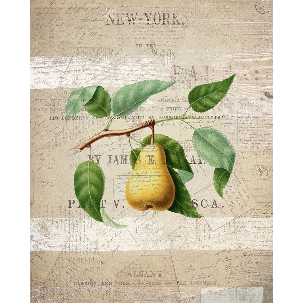 Fruit 2 Poster Print by Allen Kimberly-VARPDXKARC881B Image 1