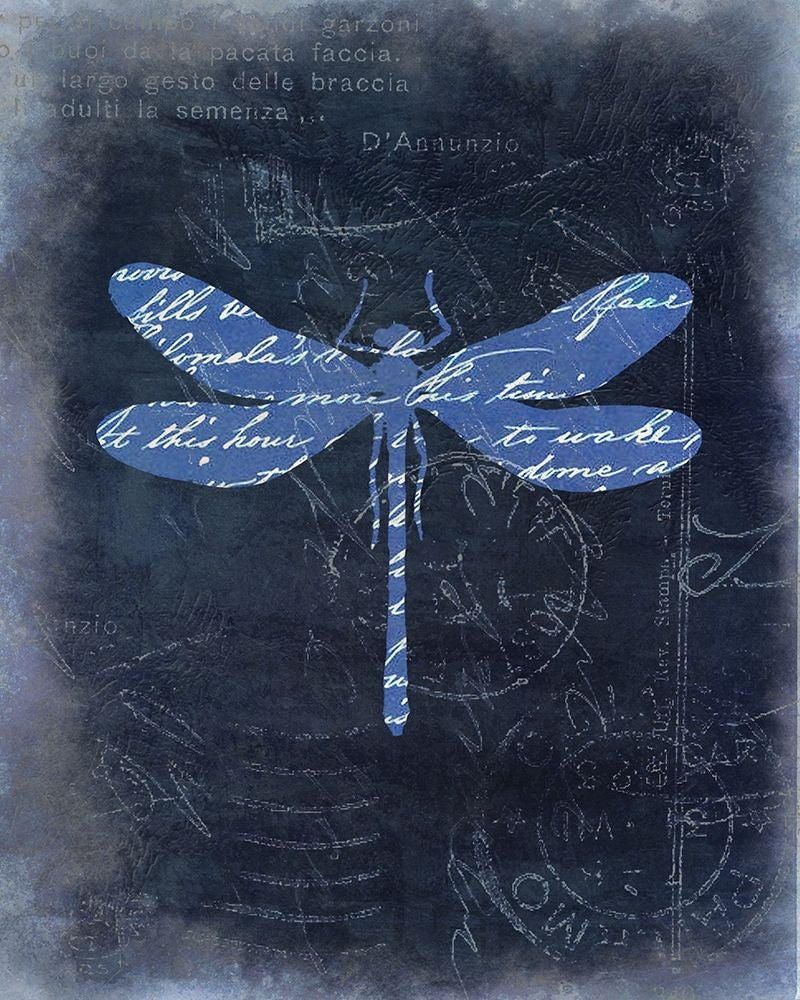 Dragonfly Blue 1 Poster Print by Kimberly Allen-VARPDXKARC876A Image 1