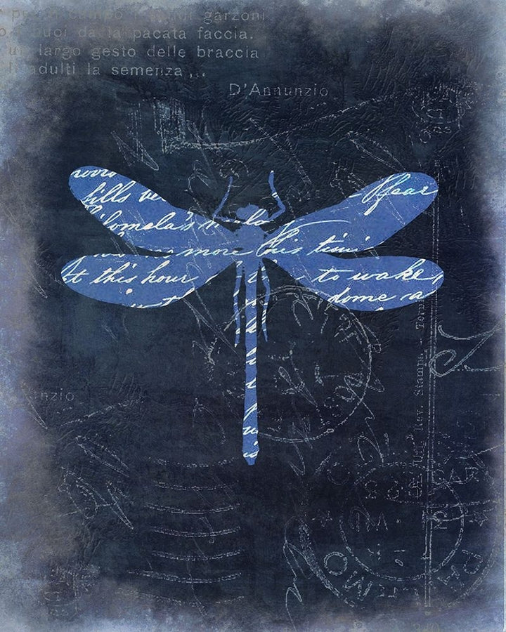 Dragonfly Blue 1 Poster Print by Kimberly Allen-VARPDXKARC876A Image 2