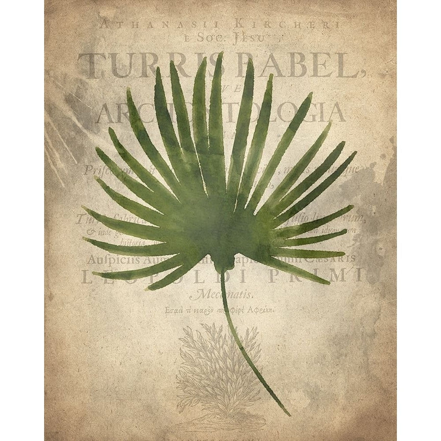 Palms C Poster Print by Allen Kimberly-VARPDXKARC884A Image 1