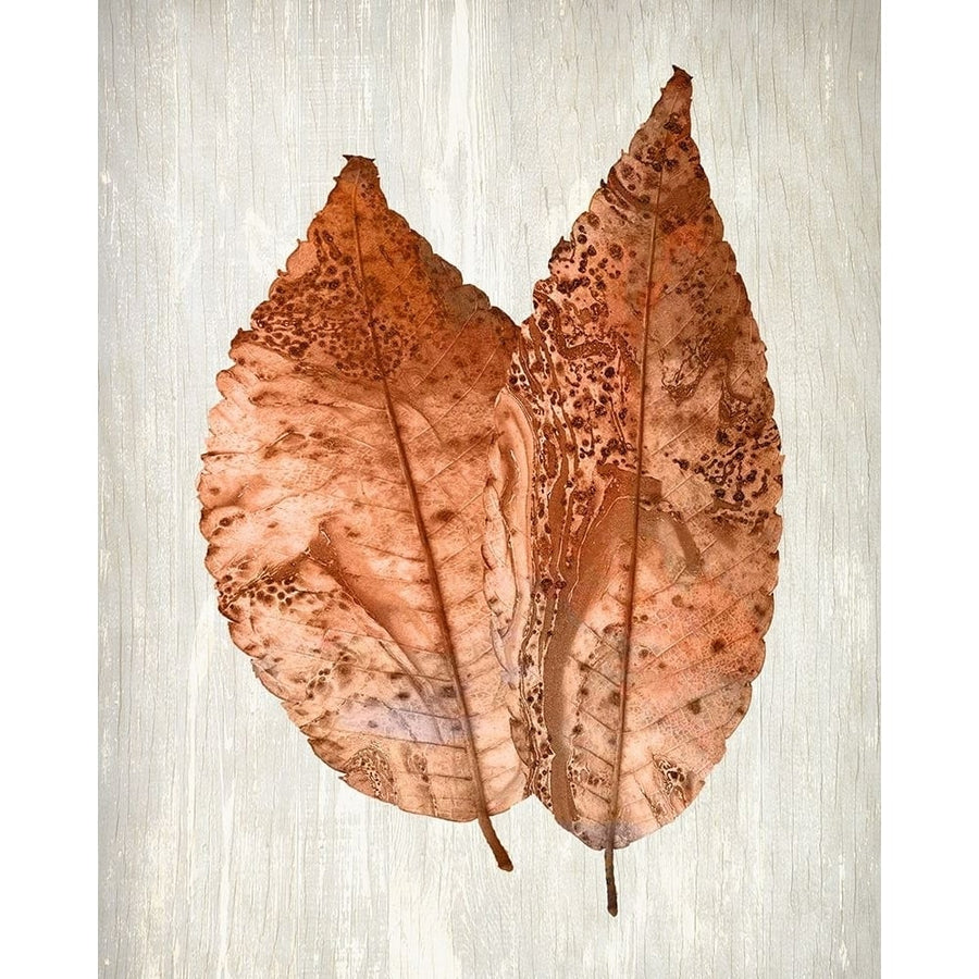 Copper Leaves 2 Poster Print by Allen Kimberly-VARPDXKARC939B Image 1