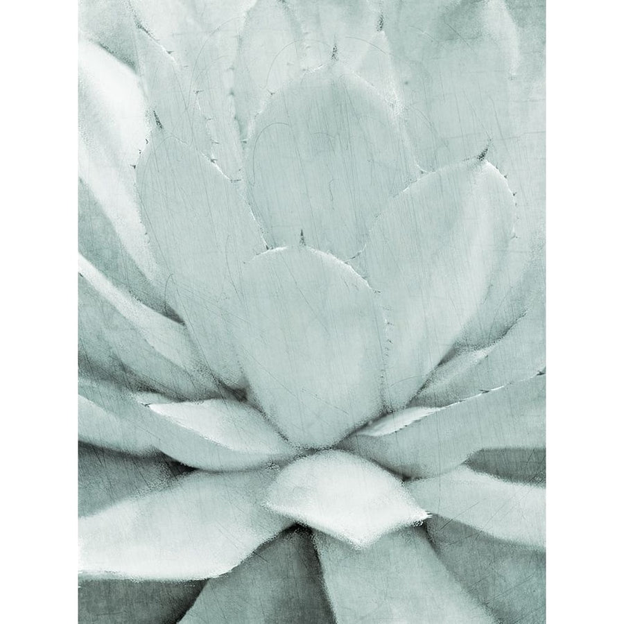 Agave I Poster Print by Allen Kimberly-VARPDXKARC949A Image 1