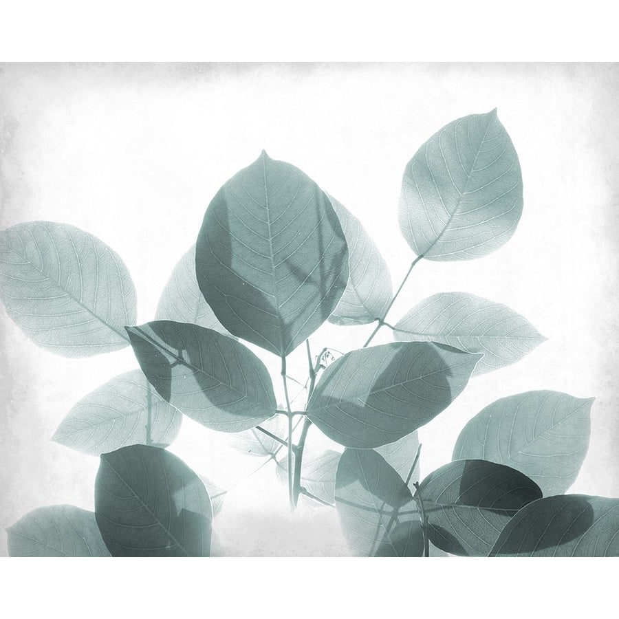 Antiqued Leaves 2 Poster Print by Allen Kimberly-VARPDXKARC950B Image 1