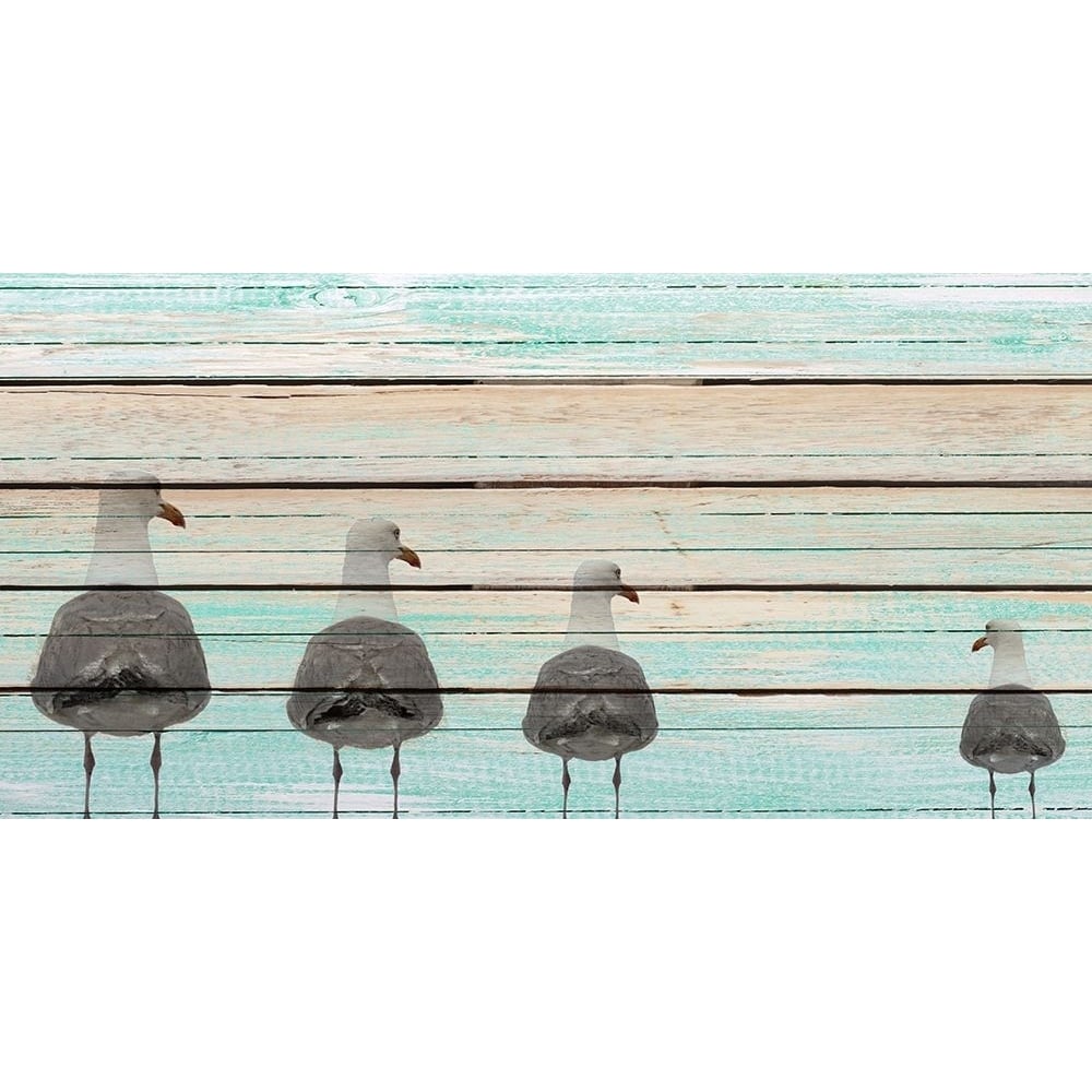 Seagulls Poster Print by Kimberly Allen-VARPDXKARN120A Image 1