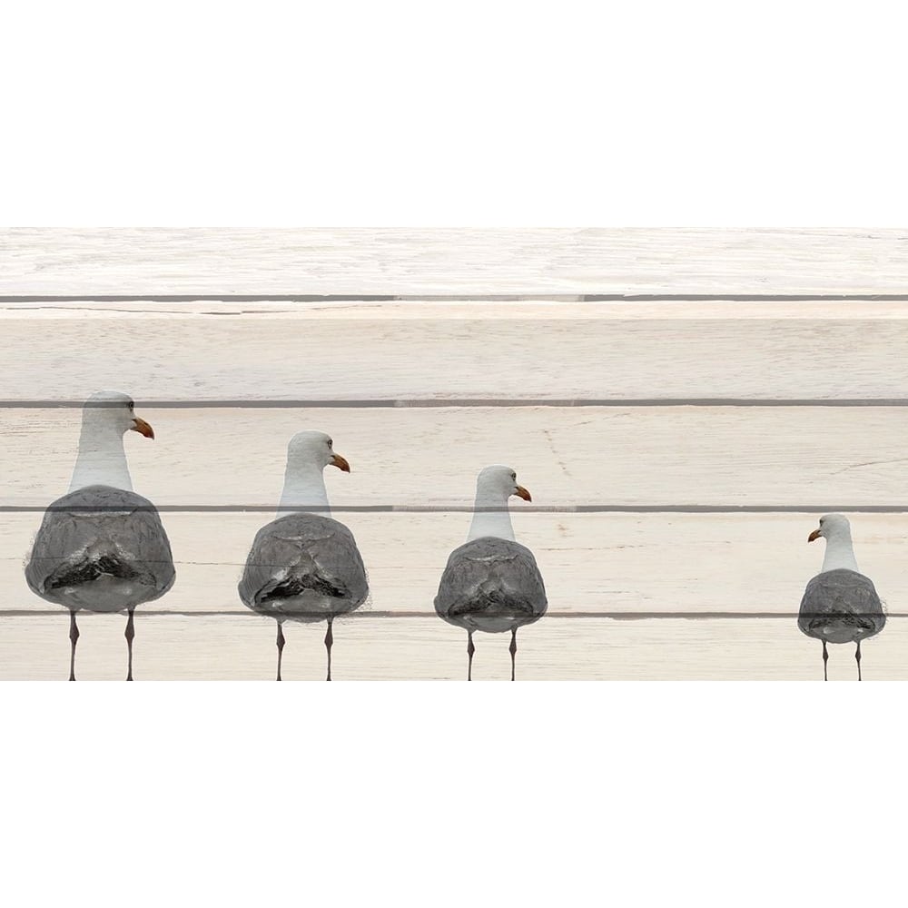 Seagulls on Wood Poster Print by Allen Kimberly-VARPDXKARN186A Image 1