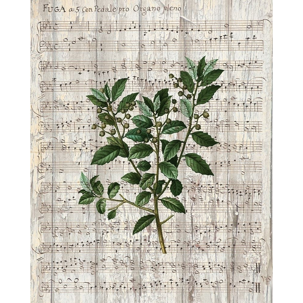 Musical Botanical 2 Poster Print by Allen Kimberly-VARPDXKARC989B Image 1