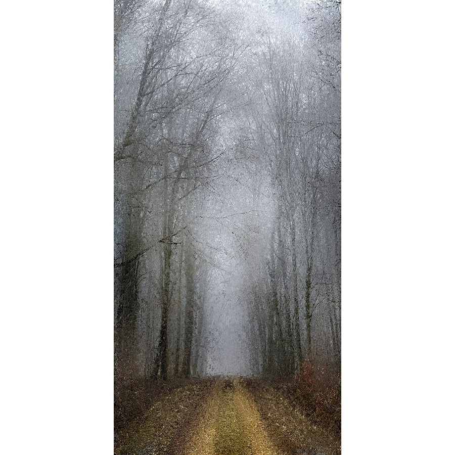 Road of Mysteries 1 Poster Print by Kimberly Allen-VARPDXKARN346A Image 1