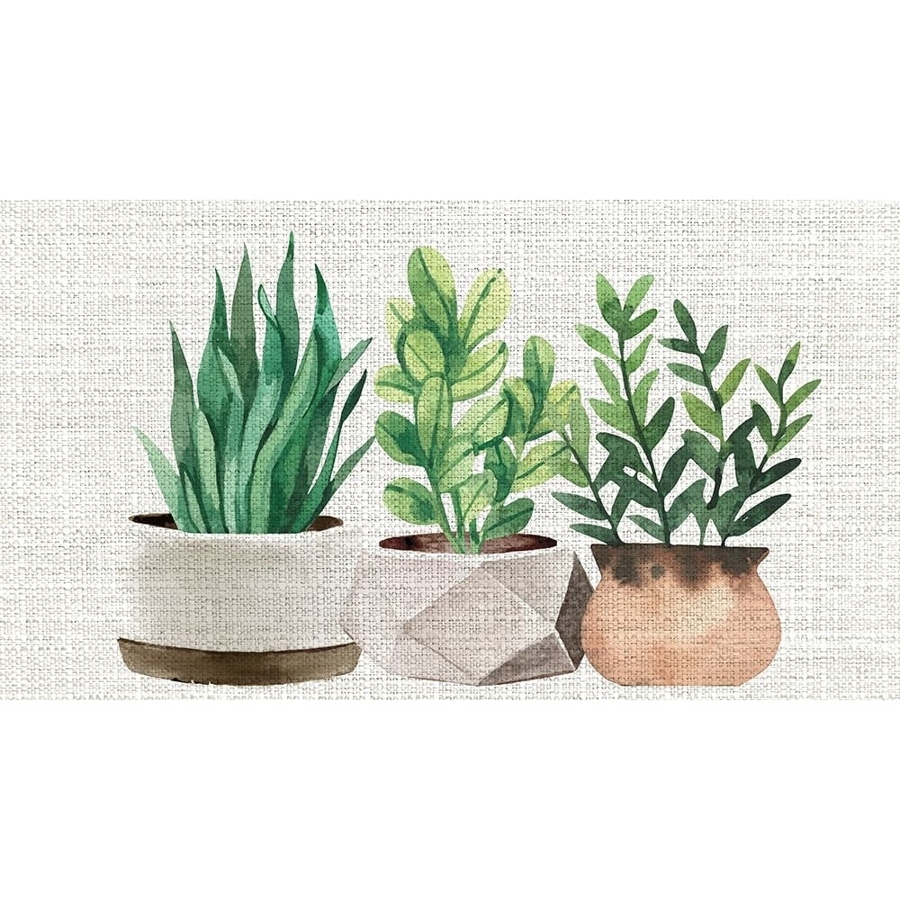 Burlap Plants Poster Print - Kimberly Allen-VARPDXKARN844A Image 1