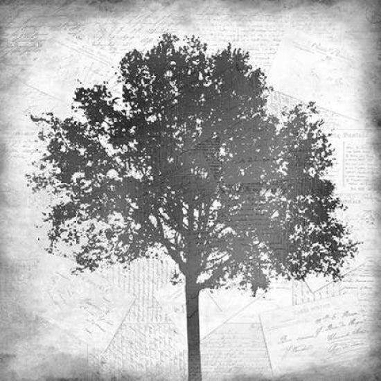 Tree Silhouette Black and White 1 Poster Print by Kimberly Allen-VARPDXKASQ062A Image 2