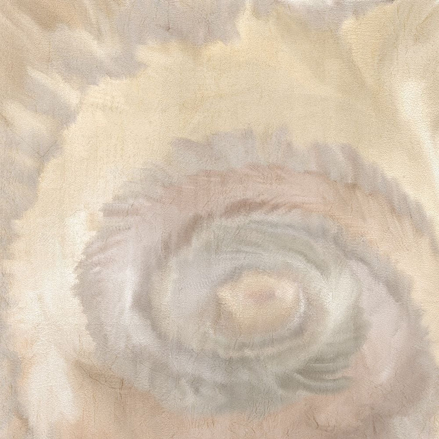 Neutral Swirl Poster Print by Allen Kimberly-VARPDXKASQ1496A Image 1