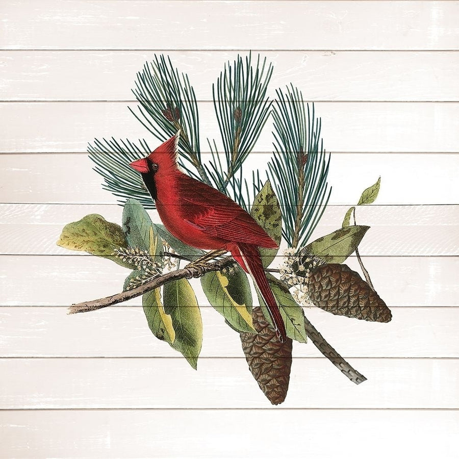 Winter Bird 4 Poster Print by Allen Kimberly-VARPDXKASQ1785D Image 1