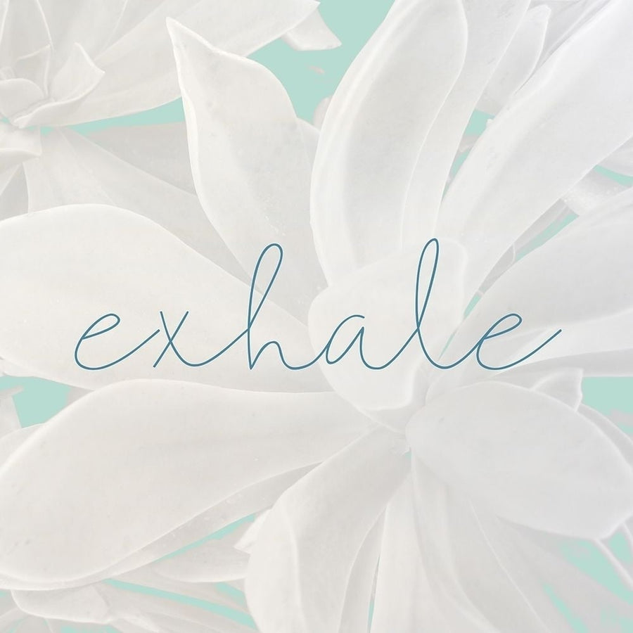 Exhale Poster Print by Allen Kimberly-VARPDXKASQ1808A Image 1