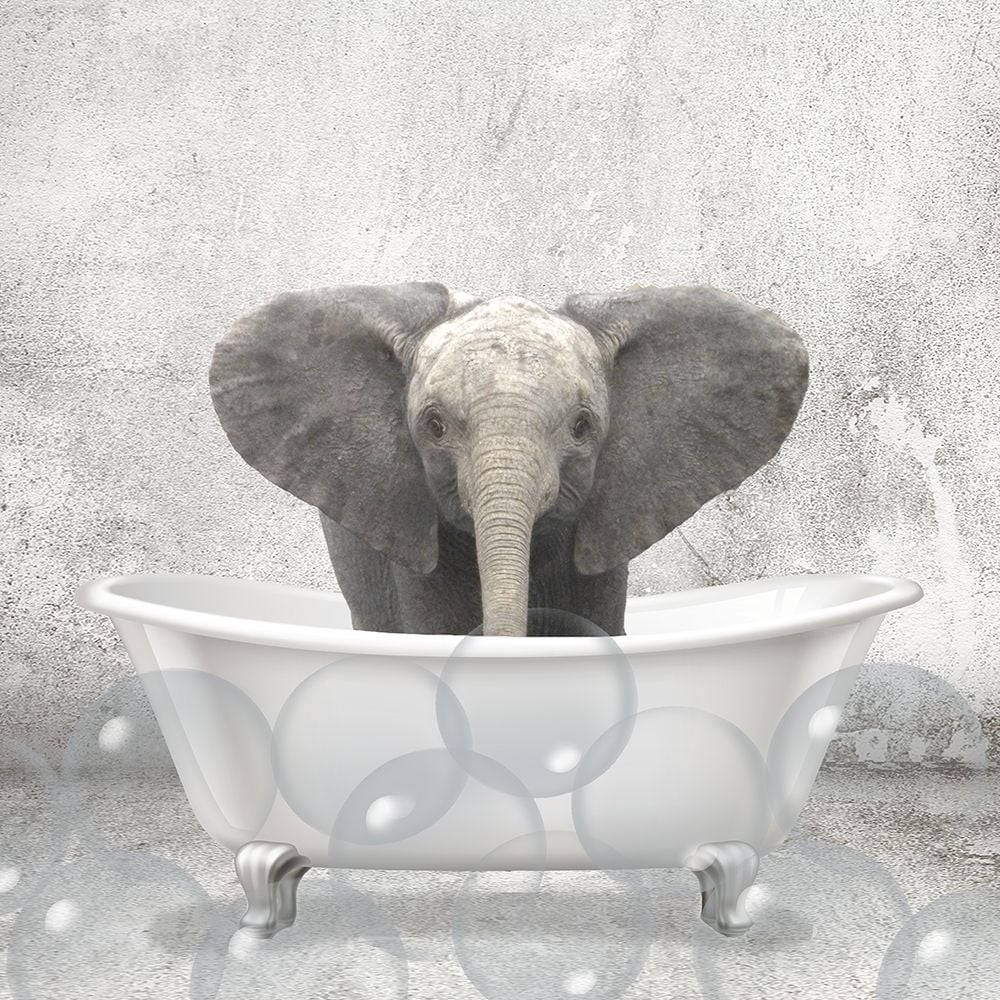 Baby Elephant Bath Poster Print by Allen Kimberly-VARPDXKASQ1835B Image 1