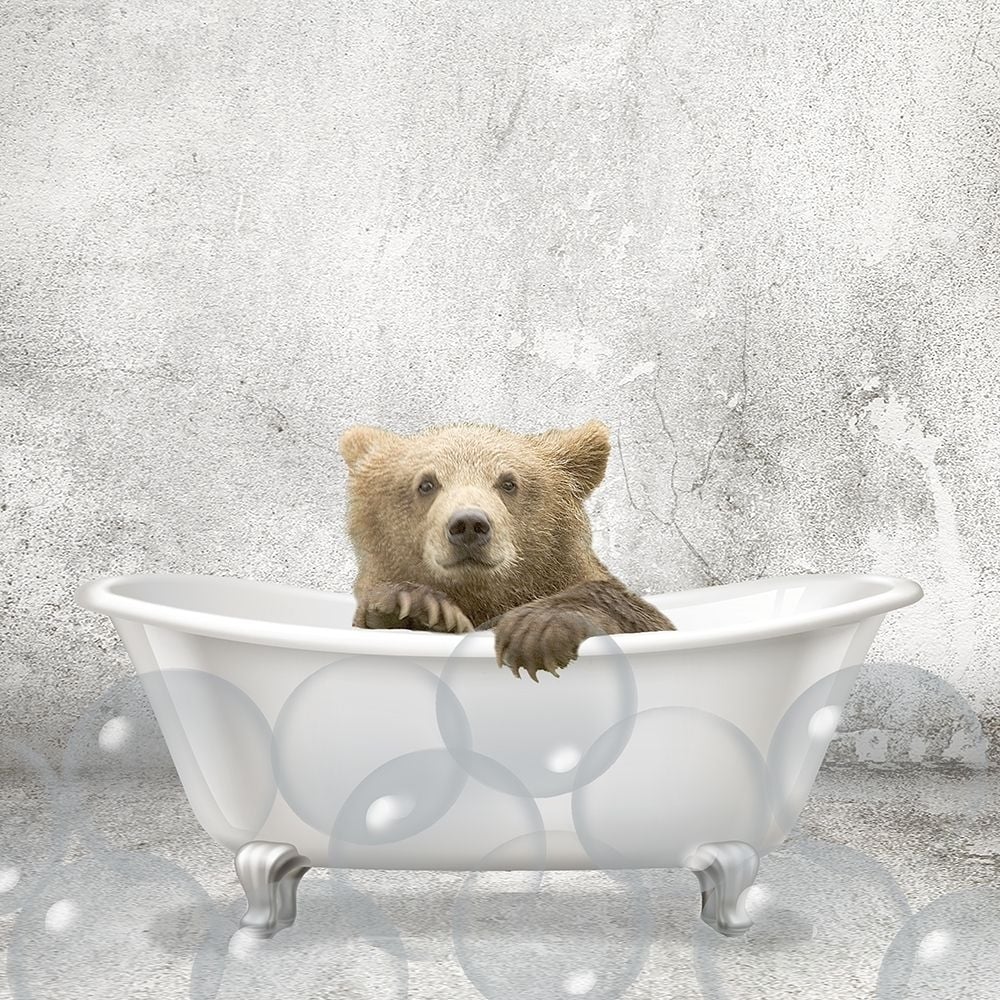 Baby Bear Bath Poster Print by Allen Kimberly-VARPDXKASQ1835A Image 1