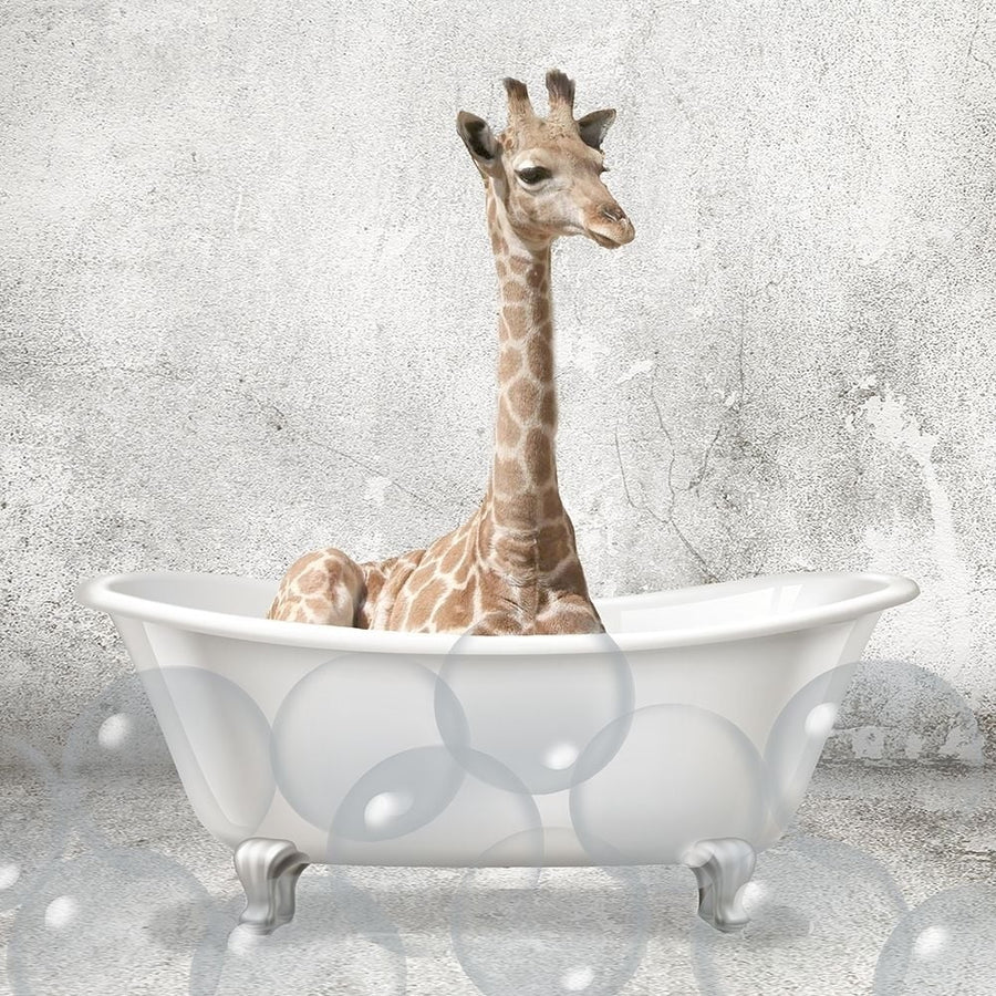 Baby Giraffe Bath Poster Print by Allen Kimberly-VARPDXKASQ1835C Image 1