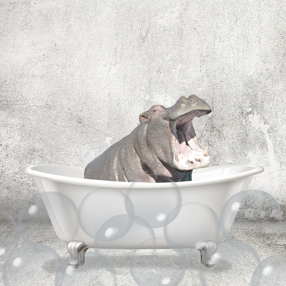 Baby Hippo Bath Poster Print by Allen Kimberly-VARPDXKASQ1835D Image 1