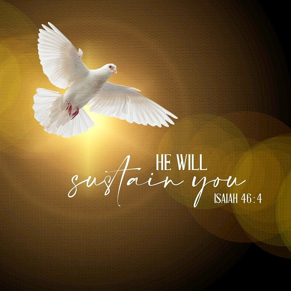 He Will by Kimberly Allen-VARPDXKASQ2358B Image 1