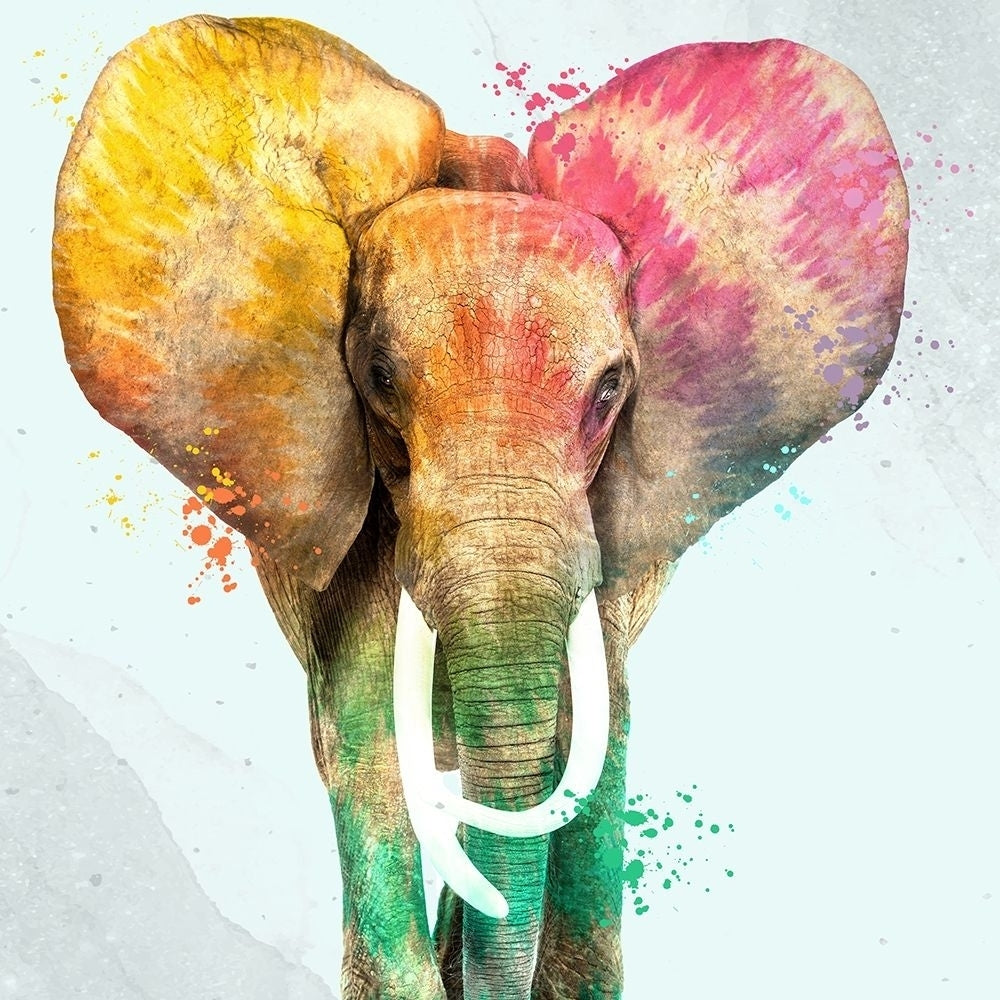 Tie Die Elephant 2 by Kimberly Allen-VARPDXKASQ2630B Image 1