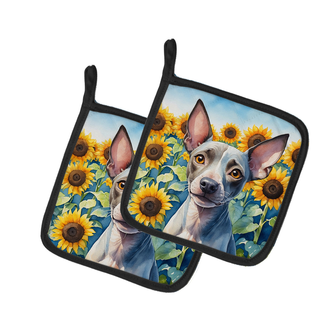 Yorkshire Terrier in Sunflowers Pair of Pot Holders Image 11