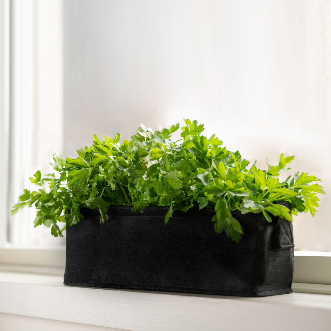 Organic Herb Planter Box Kits With Soil Block - Basil, Parsley or Oregano Image 3