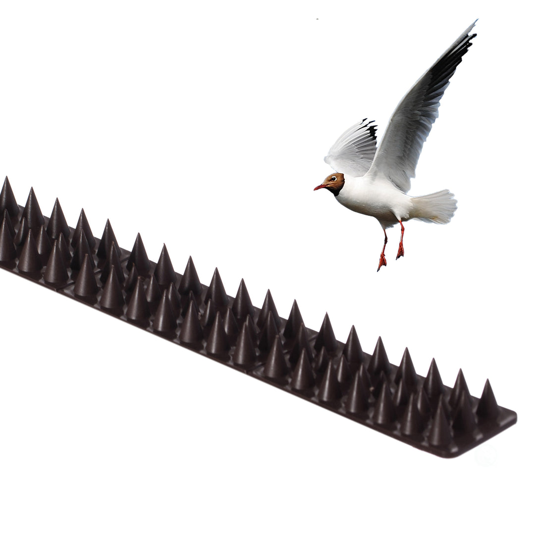 Outdoor Plastic Repellent Wall Defender Fence Spikes for Birds, 10 Pack Brown Image 3