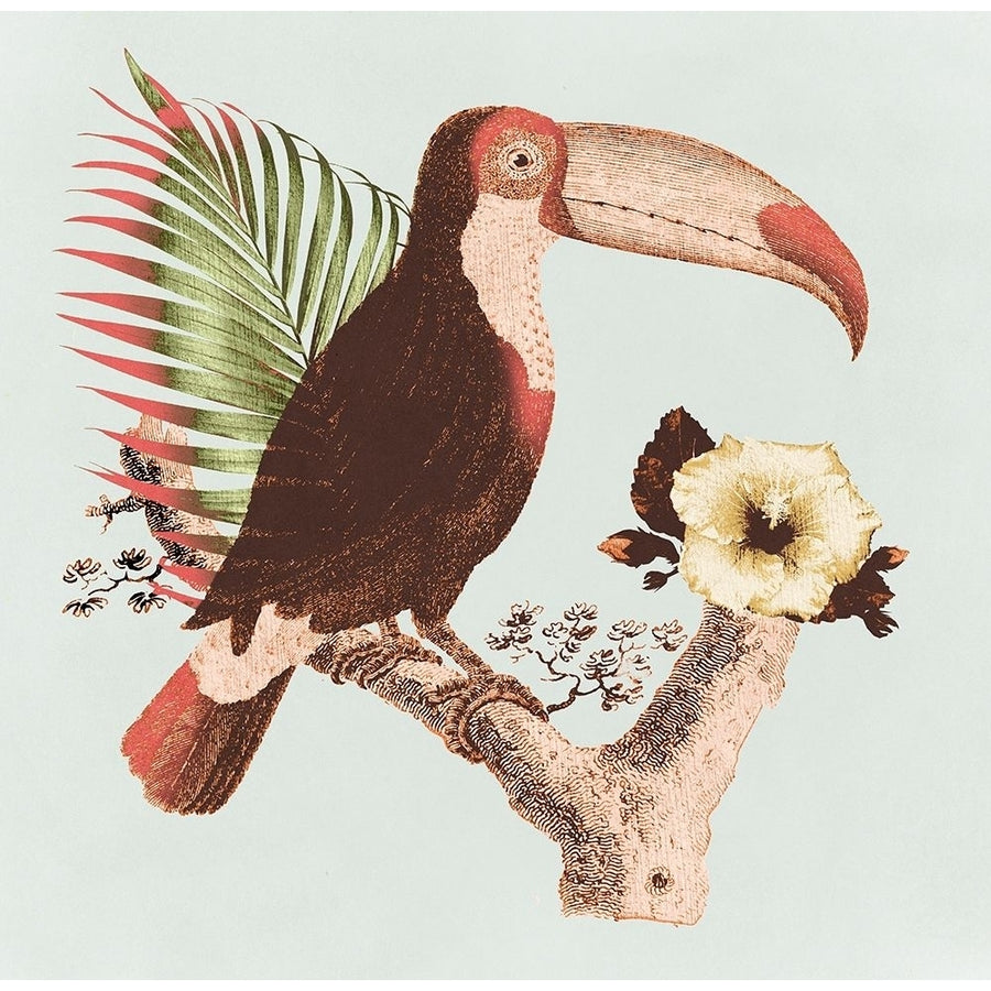 Tropical Toucan by Surma-VARPDXUS009A Image 1