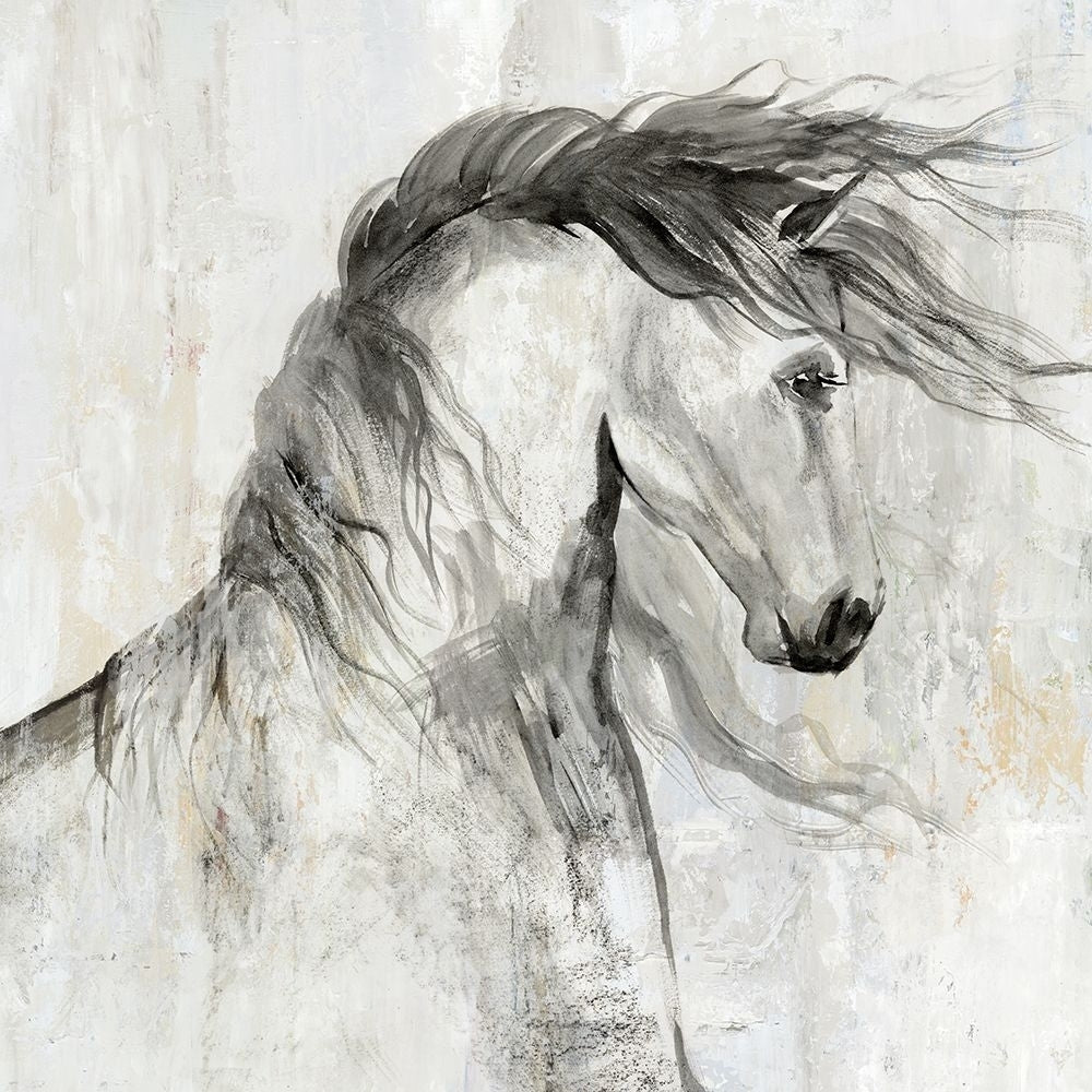 Majestic Stallion Poster Print - Aimee Wilson-VARPDXWL501A Image 1