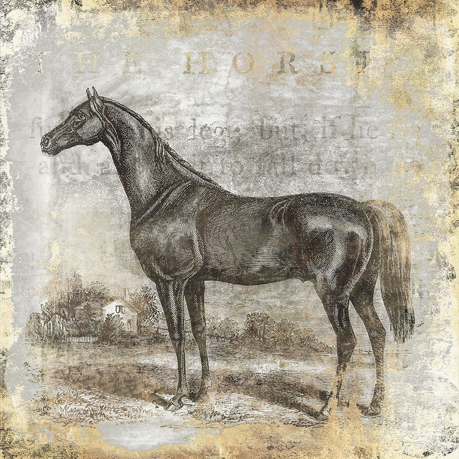 Gold Stallion I Poster Print - Christine Zalewski-VARPDXZX090A Image 1