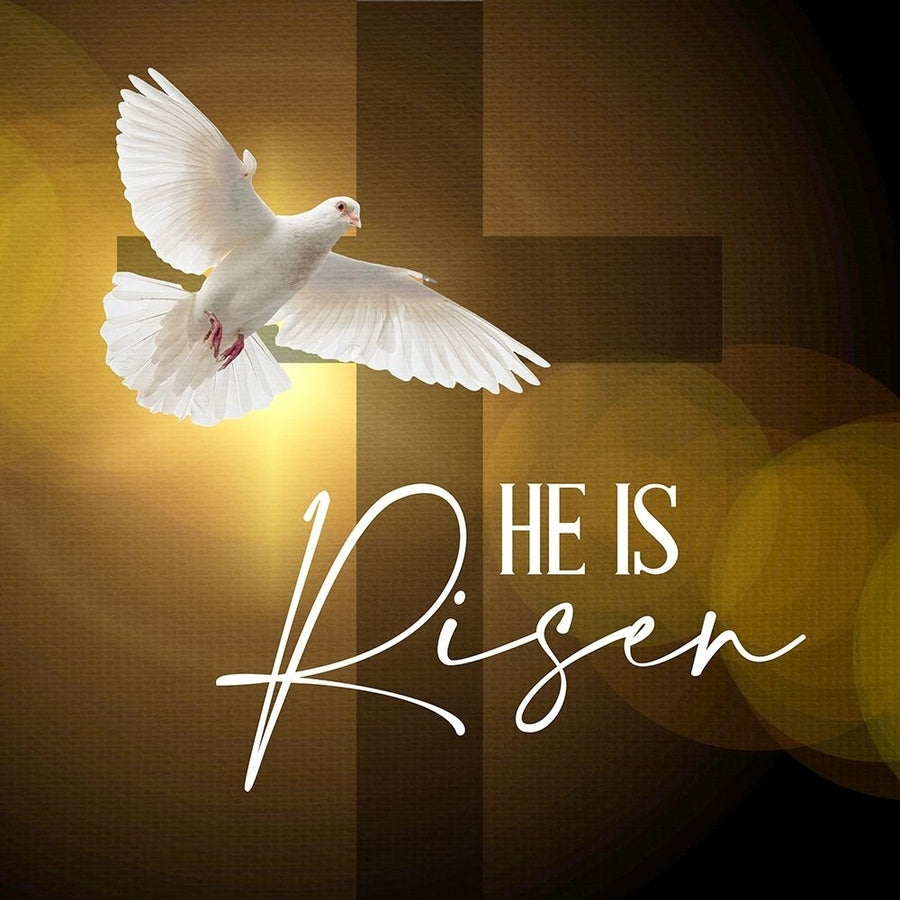 He is Risen Poster Print - Kimberly Allen-VARPDXKASQ3072A Image 1