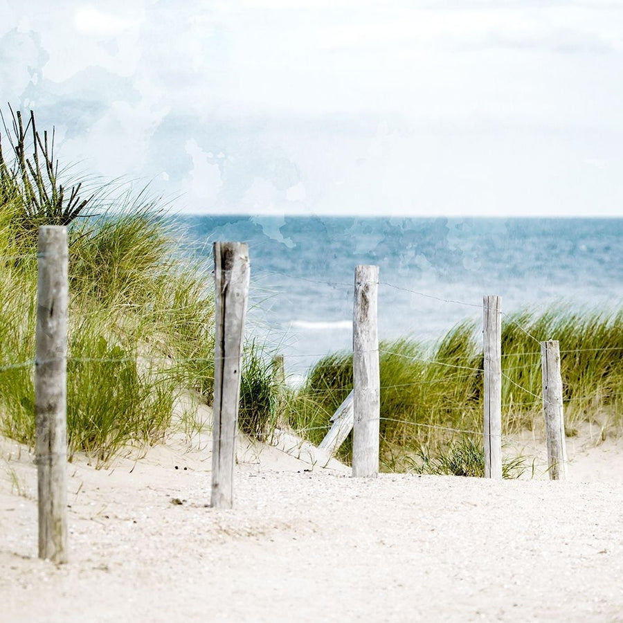 Pathway To The Beach Poster Print - Kimberly Allen-VARPDXKASQ3450A Image 1