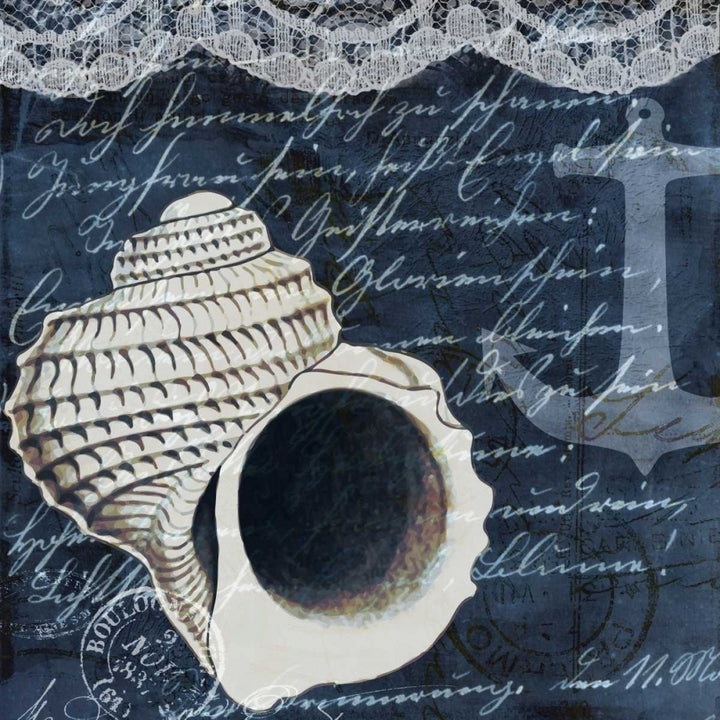 Shell Dreams 1 Poster Print by Kimberly Allen-VARPDXKASQ488A Image 1