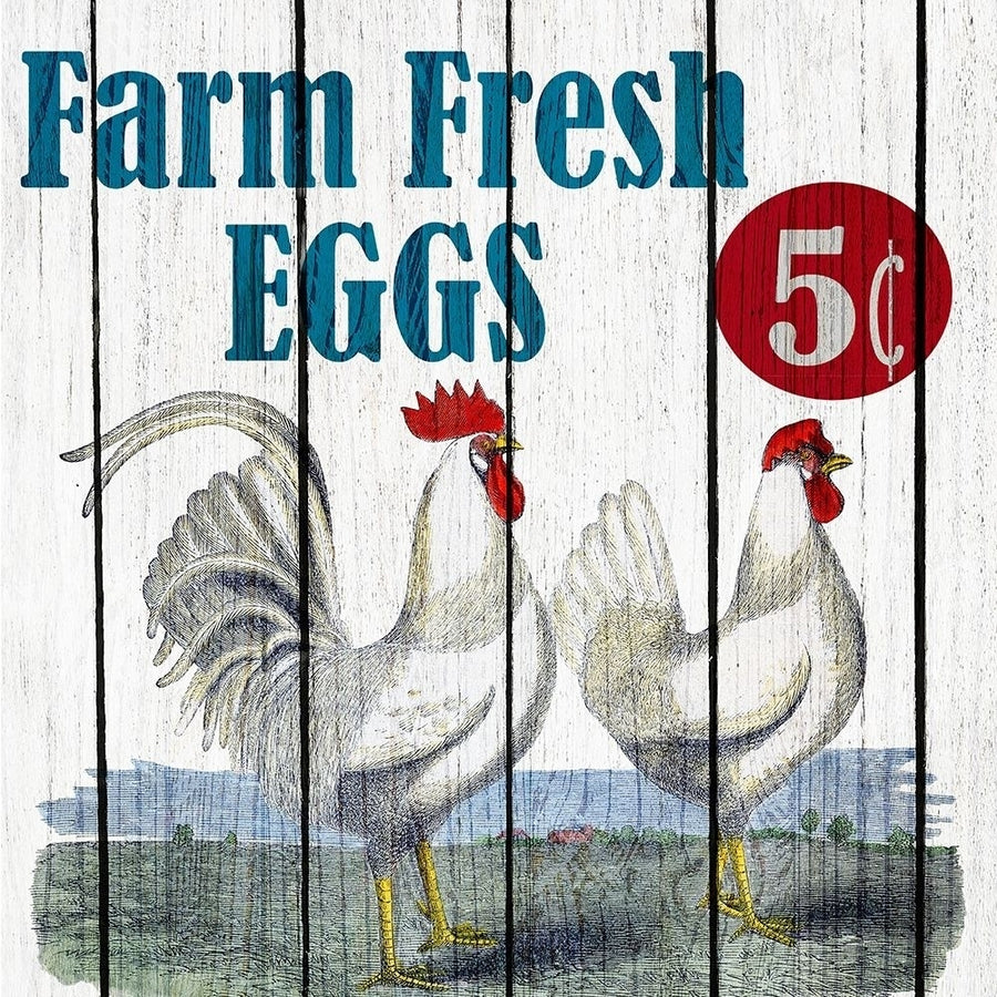 Farm Fresh 1 Poster Print by Allen Kimberly-VARPDXKASQ577A Image 1