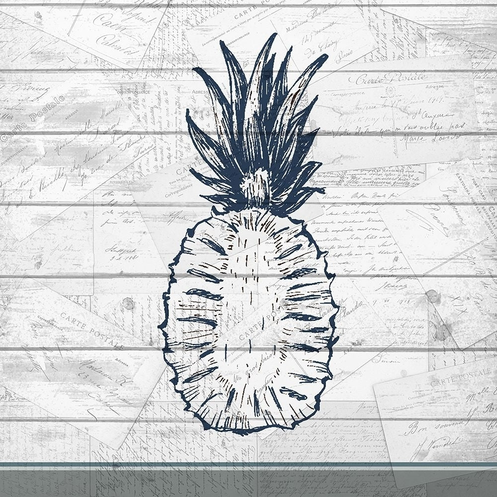 Country Pineapple 2 Poster Print by Allen Kimberly-VARPDXKASQ668B Image 1