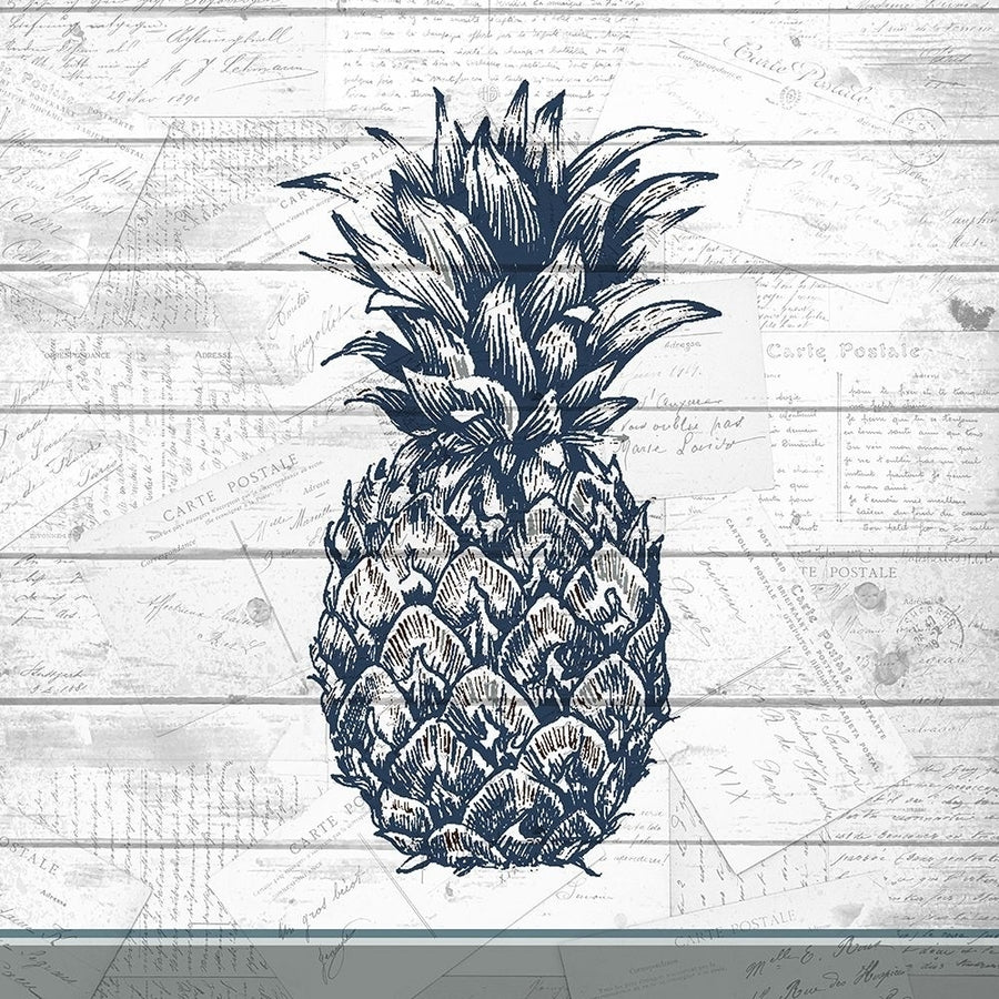 Country Pineapple 1 Poster Print by Allen Kimberly-VARPDXKASQ668A Image 1