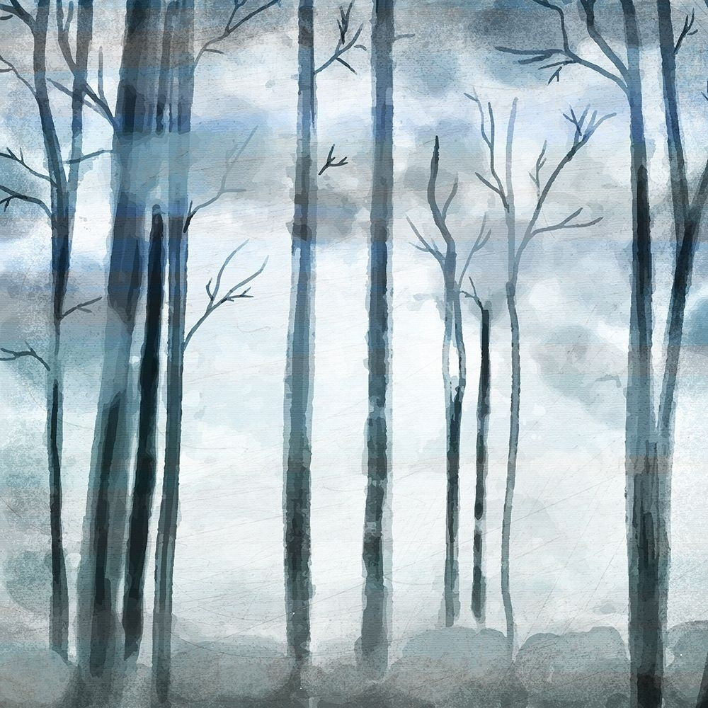 Shrouded Forest Poster Print by Kimberly Allen-VARPDXKASQ781A Image 1