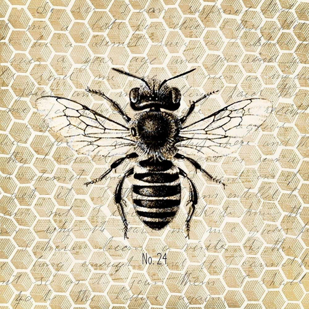 Honeycomb No 24 Poster Print by Allen Kimberly-VARPDXKASQ887A Image 1