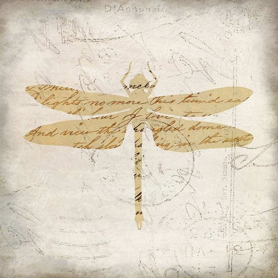 Dragonfly Letters 2 Poster Print by Allen Kimberly-VARPDXKASQ999B Image 1