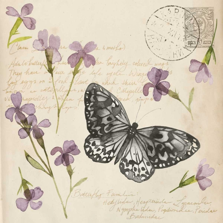 Pressed Flower Collection A Poster Print - Grace Popp-VARPDXL000226A Image 1