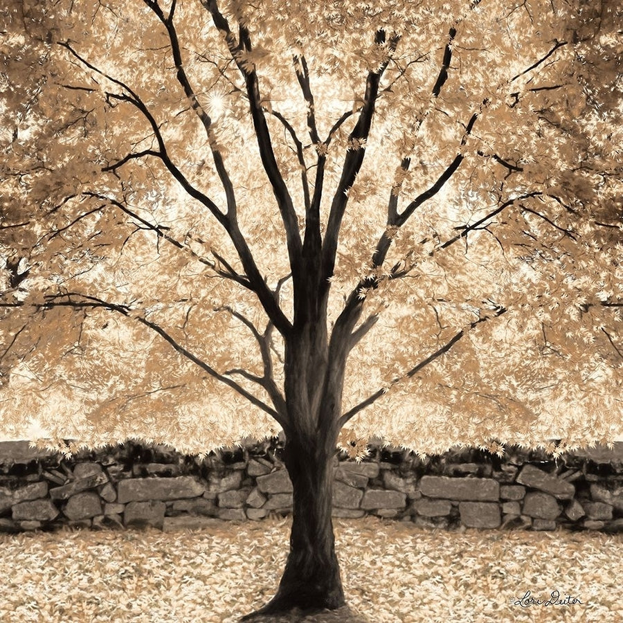 Gold Canopy Tree Poster Print by Lori Deiter-VARPDXLD1614 Image 1