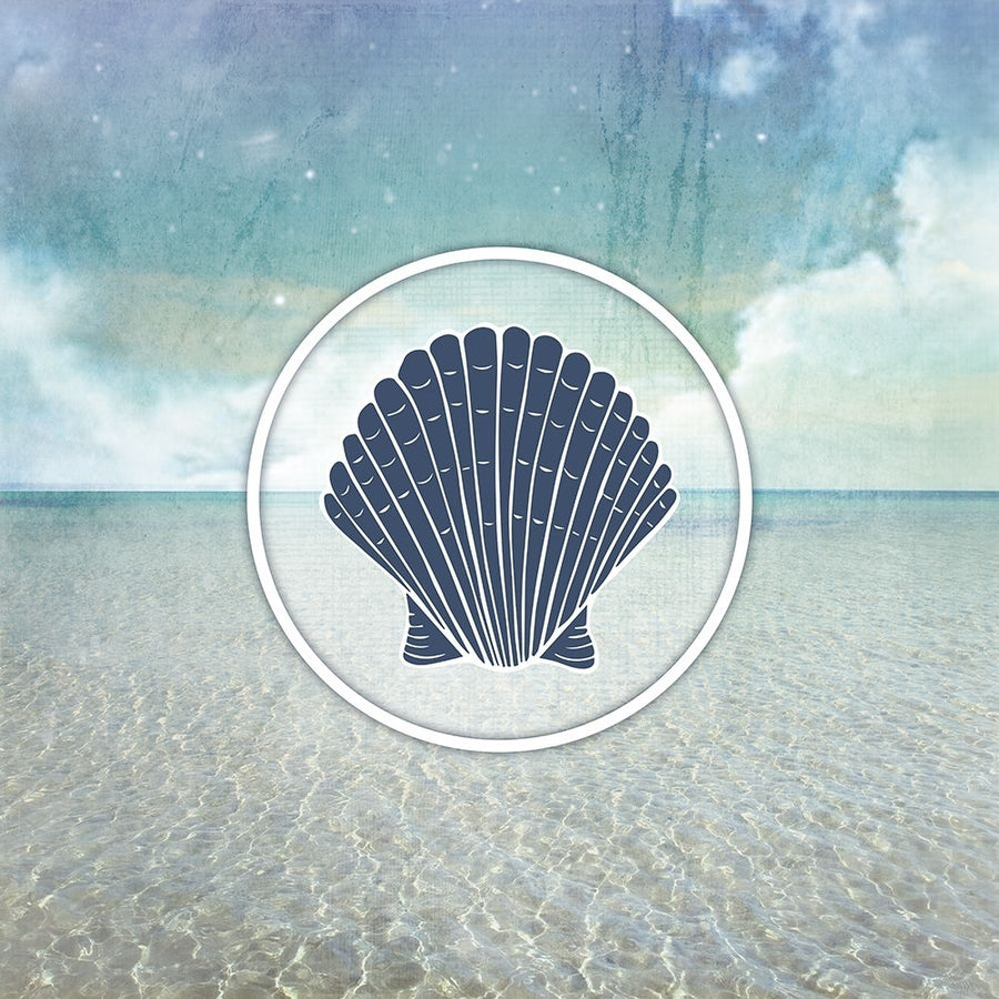 Signs_SeaLife_SeaShell2 Poster Print - LightBoxJournal-VARPDXLIGBOX212144 Image 1