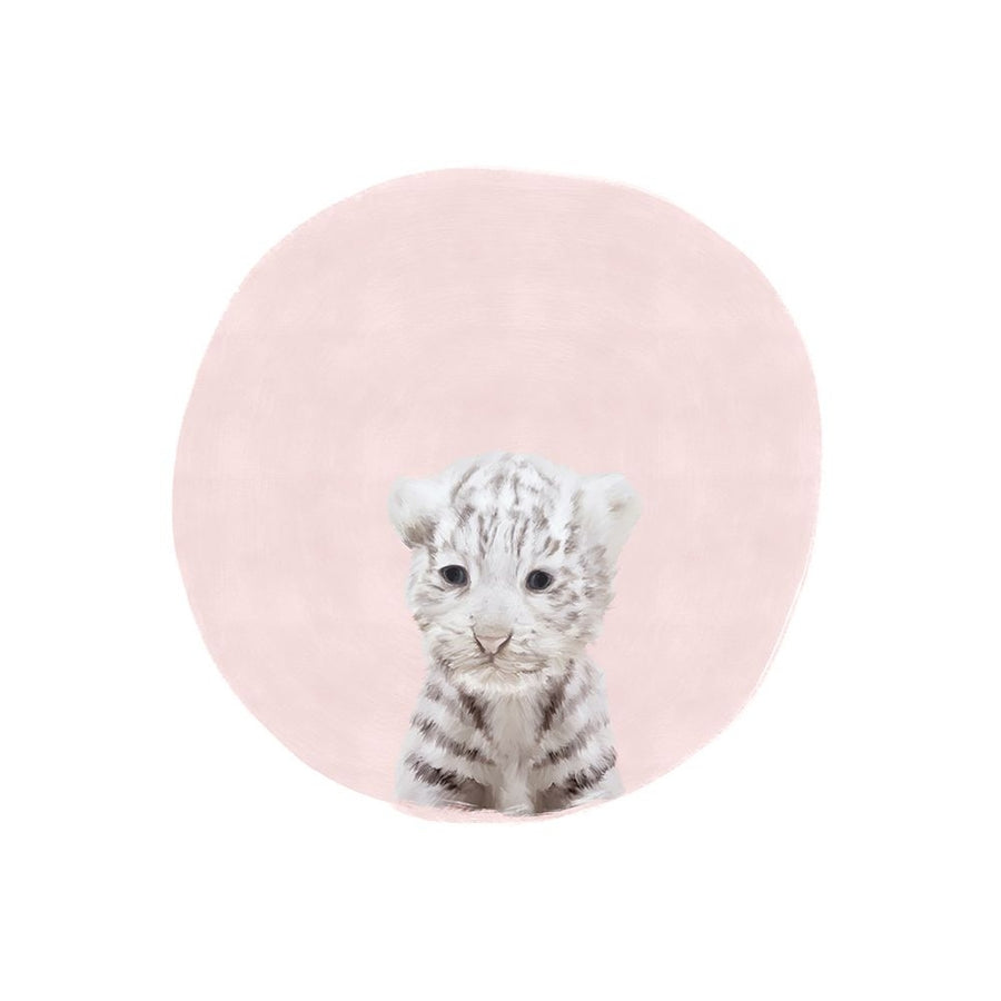 Baby White Tiger Pink by Leah Straatsma-VARPDXLSSQ023C Image 1