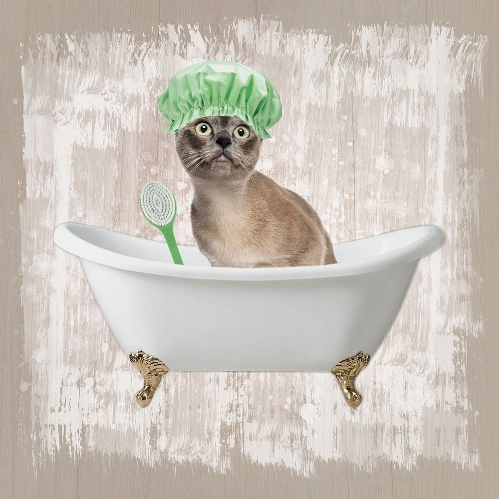 Kitty Baths 3 Poster Print by Marcus Prime-VARPDXMPSQ103C Image 1