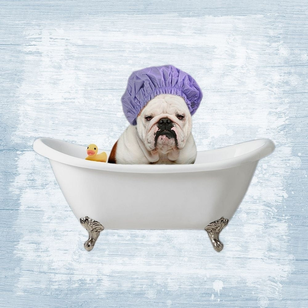 Bath Giggles 1 Poster Print by Marcus Prime-VARPDXMPSQ102A Image 1