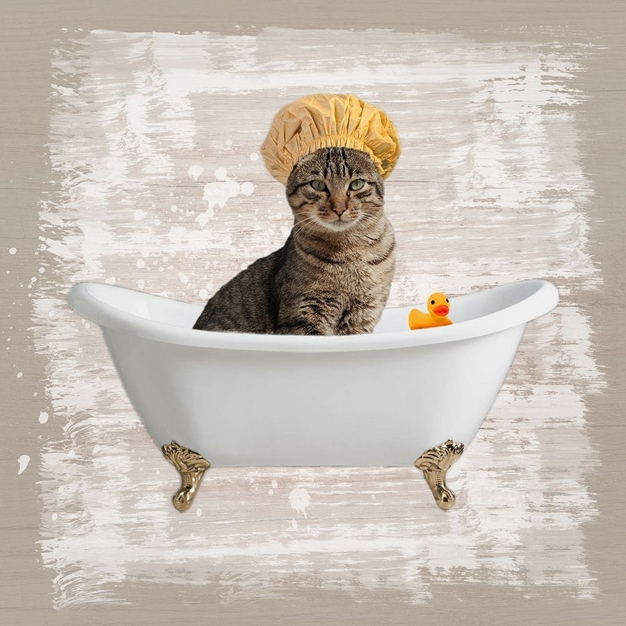 Kitty Baths 4 Poster Print by Marcus Prime-VARPDXMPSQ103D Image 1